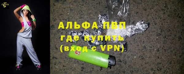 прущие грибы Протвино